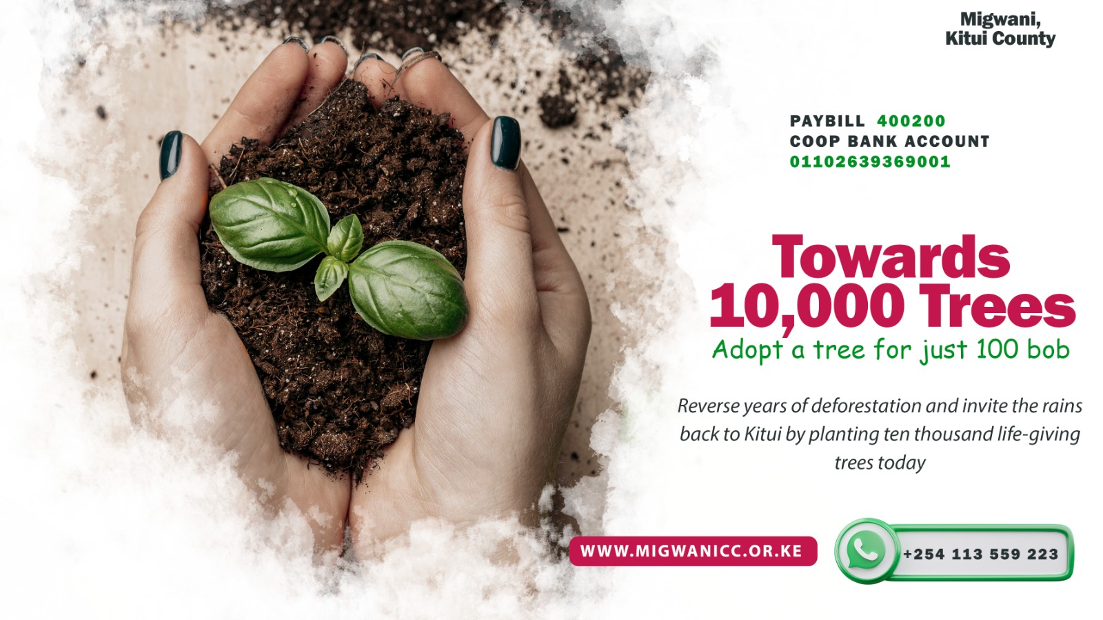 Tree planting and environmental conservation in Migwani